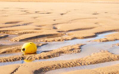 Modification de Droit commun du Schéma de Cohérence Territoriale